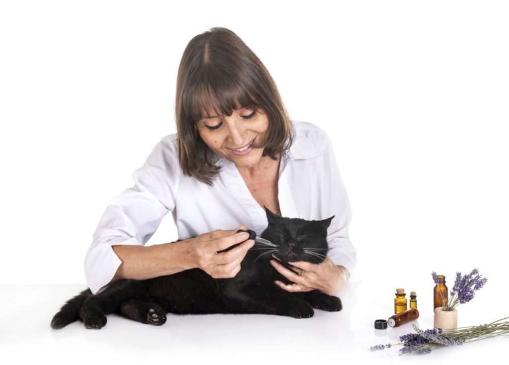 the best possible pet care and expert nutrition advice